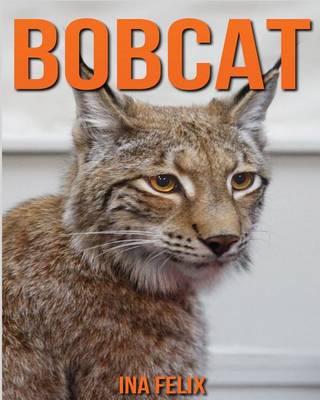 Book cover for Bobcat