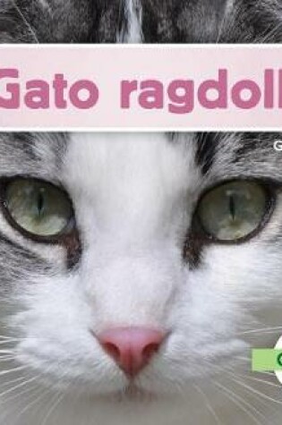 Cover of Gato Ragdoll (Ragdoll Cats) (Spanish Version)