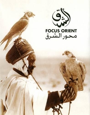 Book cover for مروان في أرض المهرجان