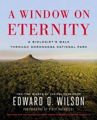 Book cover for A Window on Eternity