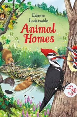 Cover of Look Inside Animal Homes