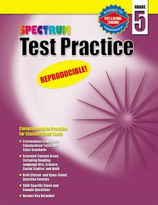Book cover for Test Practice, Grade 5