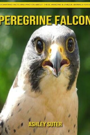 Cover of Peregrine Falcon