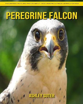 Book cover for Peregrine Falcon