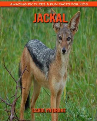 Book cover for Jackal