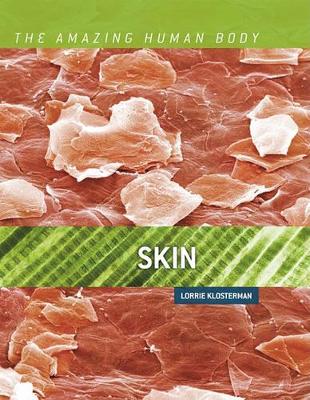 Book cover for Skin