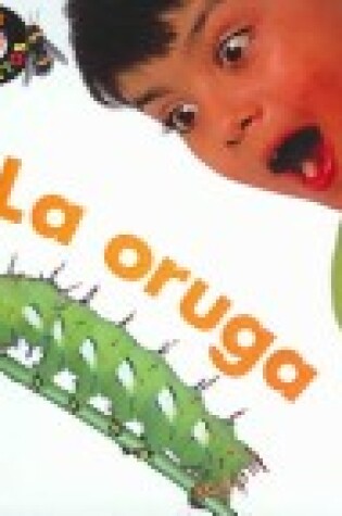Cover of Oruga