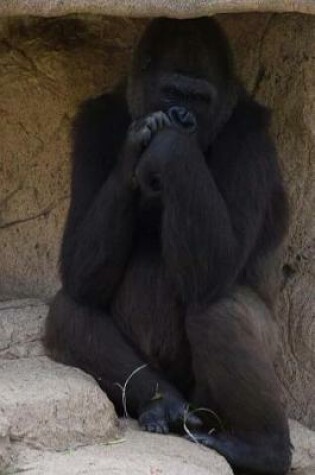 Cover of A Contemplative Gorilla in a Cave