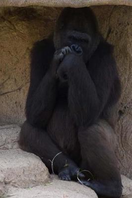 Book cover for A Contemplative Gorilla in a Cave