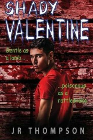 Cover of Shady Valentine