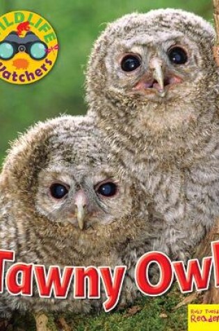 Cover of Wildlife Watchers: Tawny Owl