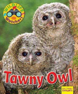 Cover of Wildlife Watchers: Tawny Owl