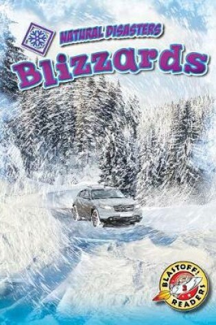 Cover of Blizzards