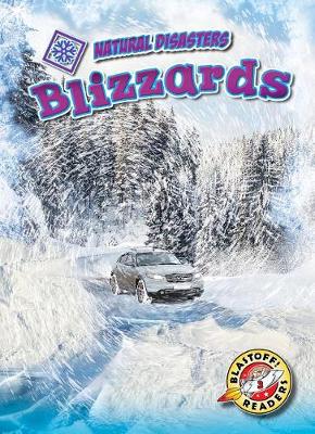 Book cover for Blizzards