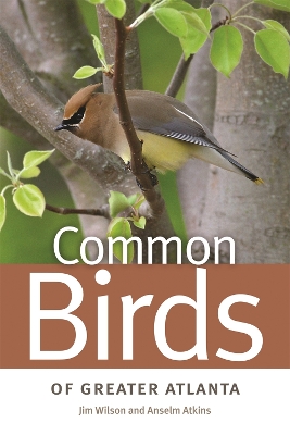 Book cover for Common Birds of Greater Atlanta