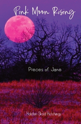 Book cover for Pink Moon Rising