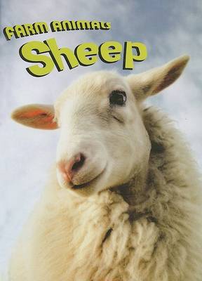 Cover of Sheep