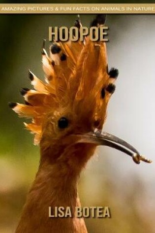 Cover of Hoopoe