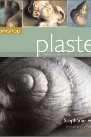 Cover of Plaster