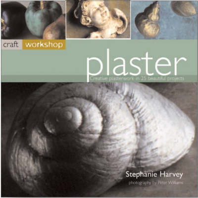 Book cover for Plaster