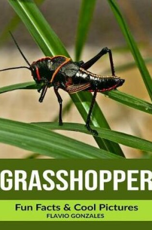 Cover of Grasshopper