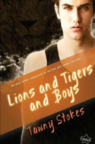 Cover of Lions and Tigers and Boys