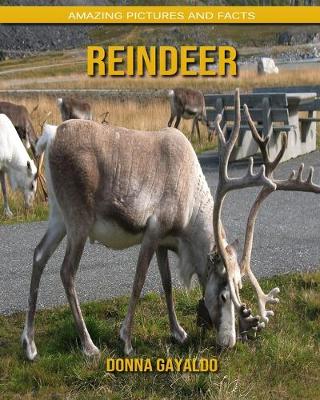 Book cover for Reindeer