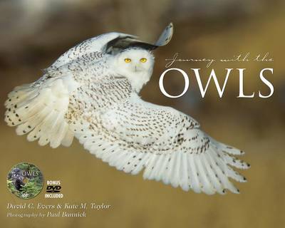 Book cover for Journey with the Owl