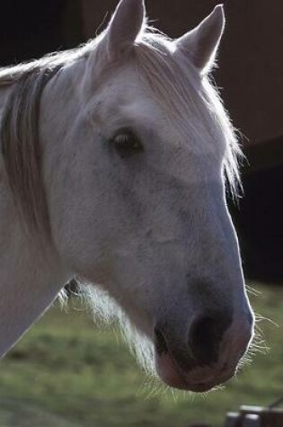 Cover of Equine Journal White Horsehead