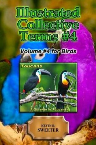 Cover of Illustrated Collective Terms #4