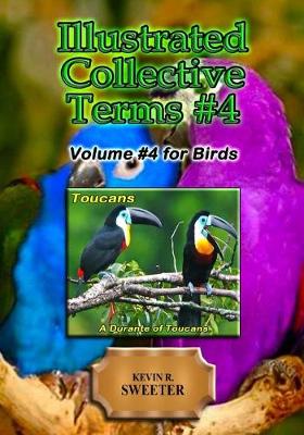 Book cover for Illustrated Collective Terms #4