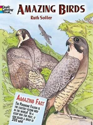 Book cover for Amazing Birds