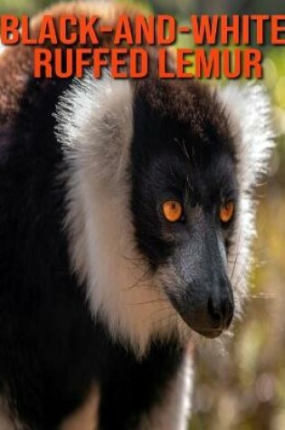 Cover of Black-and-White Ruffed Lemur