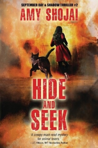 Cover of Hide And Seek