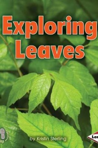 Cover of Exploring Leaves