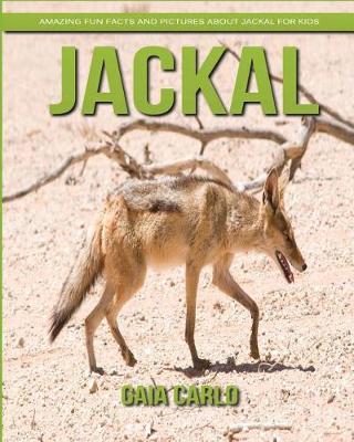 Book cover for Jackal