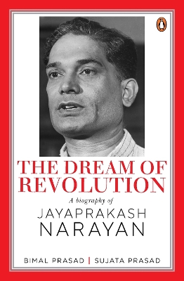 Book cover for The Dream of Revolution