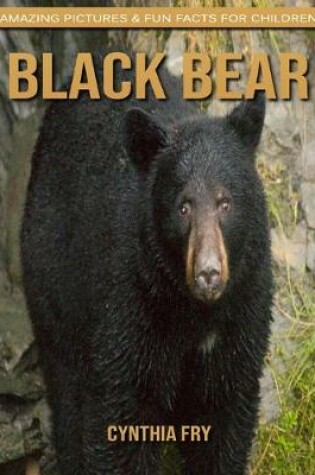 Cover of Black Bear