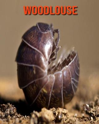 Book cover for Woodlouse