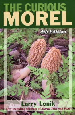 Book cover for Curious Morel