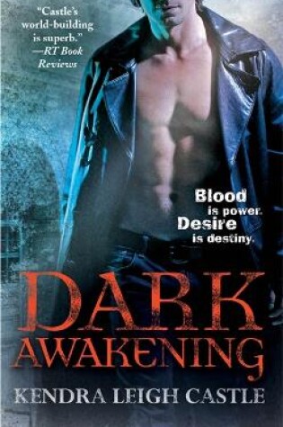 Cover of Dark Awakening