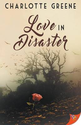 Book cover for Love in Disaster