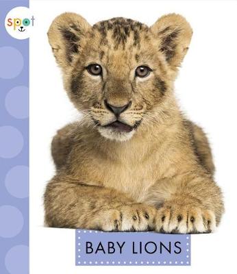 Cover of Baby Lions