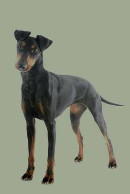 Cover of Manchester Terrier