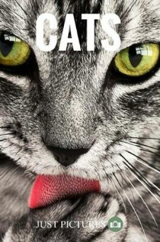 Cover of Cats