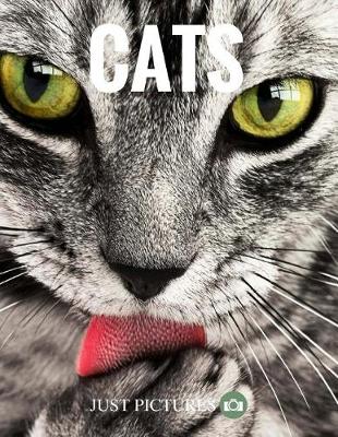 Book cover for Cats