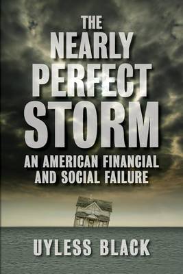 Book cover for The Nearly Perfect Storm