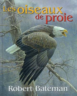 Book cover for Les Oiseaux de Proie