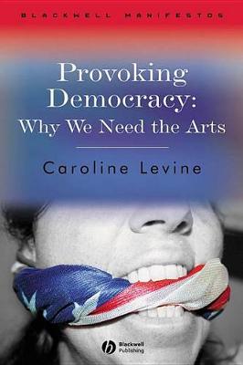 Book cover for Provoking Democracy