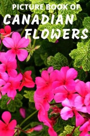 Cover of Picture Book of Canadian Flowers